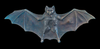Black Gothic Bat Patinated to a rich black