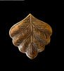 Brass Aspen Leaf with texture