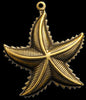 Stylized Star Fish SEA-4