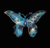 Pokadot Butterfly